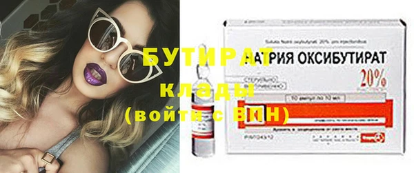 индика Дмитров