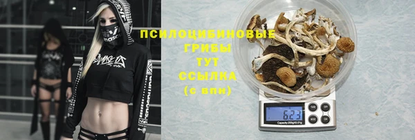 индика Дмитров