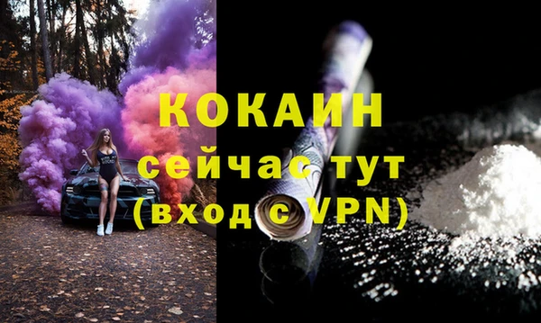 индика Дмитров