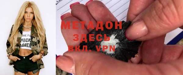 индика Дмитров