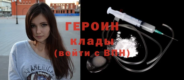 индика Дмитров