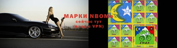 индика Дмитров