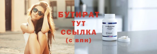 индика Дмитров