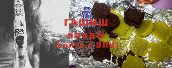 индика Дмитров