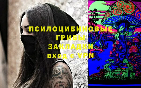 индика Дмитров