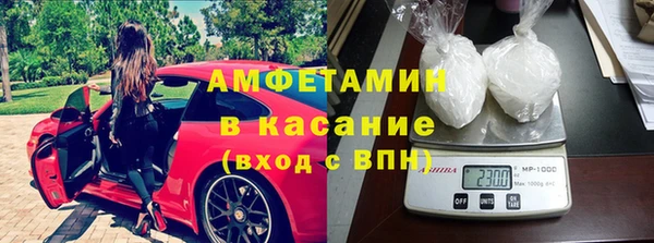 индика Дмитров