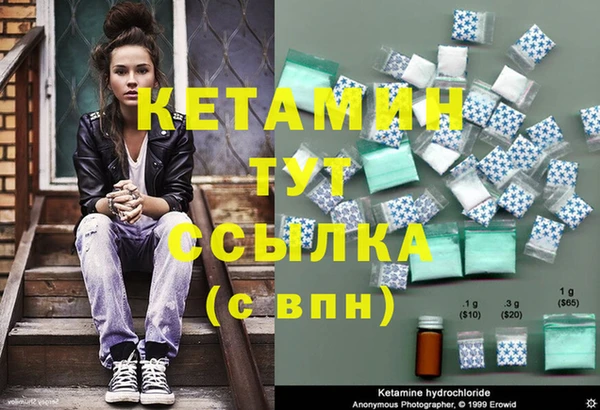 индика Дмитров