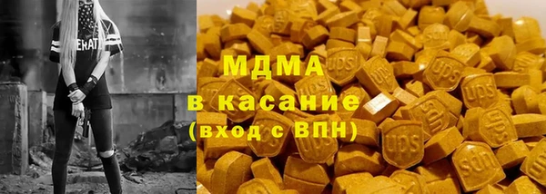 индика Дмитров
