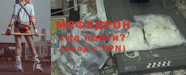 индика Дмитров