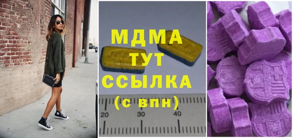 индика Дмитров