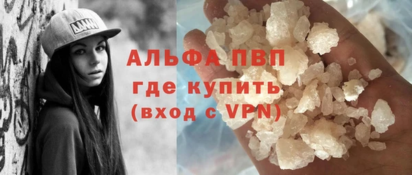 индика Дмитров