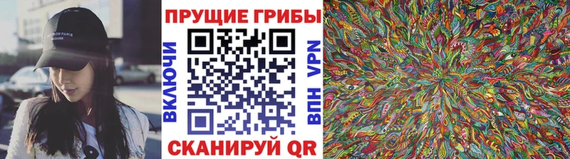 Галлюциногенные грибы Cubensis  Купить  Великий Новгород 