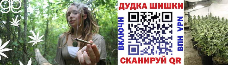 Канабис Bruce Banner  Купить закладки  Великий Новгород 